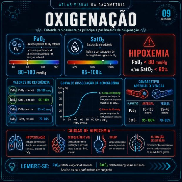 Ficha do Atlas Visual da Gasometria